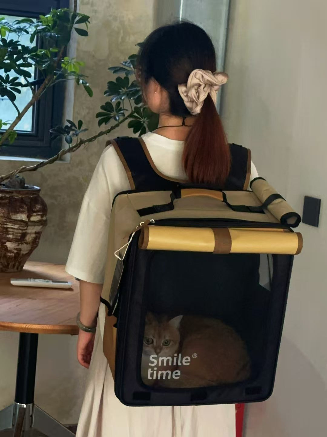 Can a Cat Backpack Reach 100,000+ Sales?