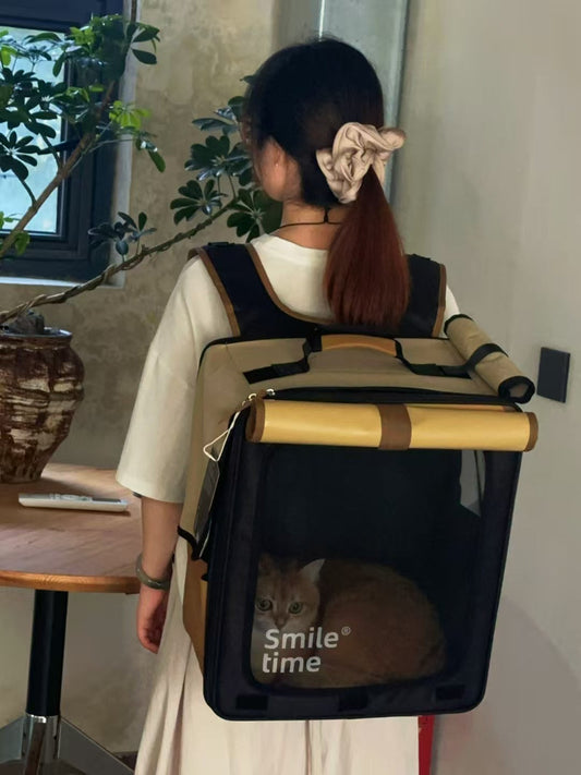 Can a Cat Backpack Reach 100,000+ Sales?