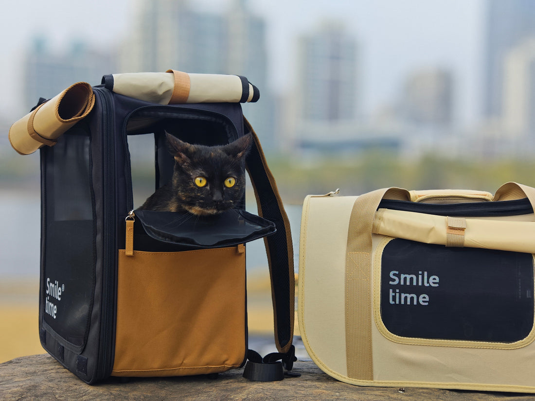 Why Cat Backpacks are popular for pet travel？