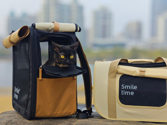 Why Cat Backpacks are popular for pet travel？