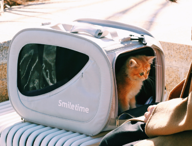 Expandable Cat Backpack