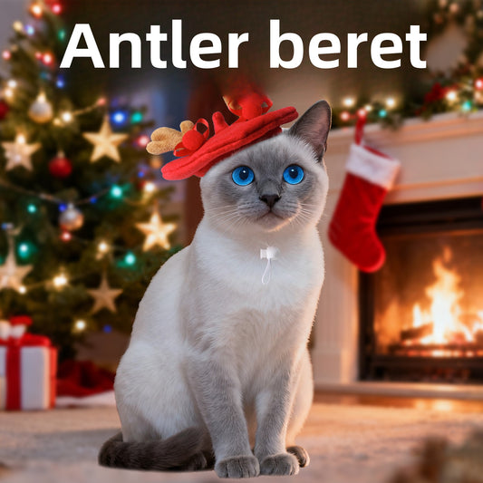 Amazon Hot-Selling Cat Beret Dog Hat Christmas Pet Hat Autumn Winter