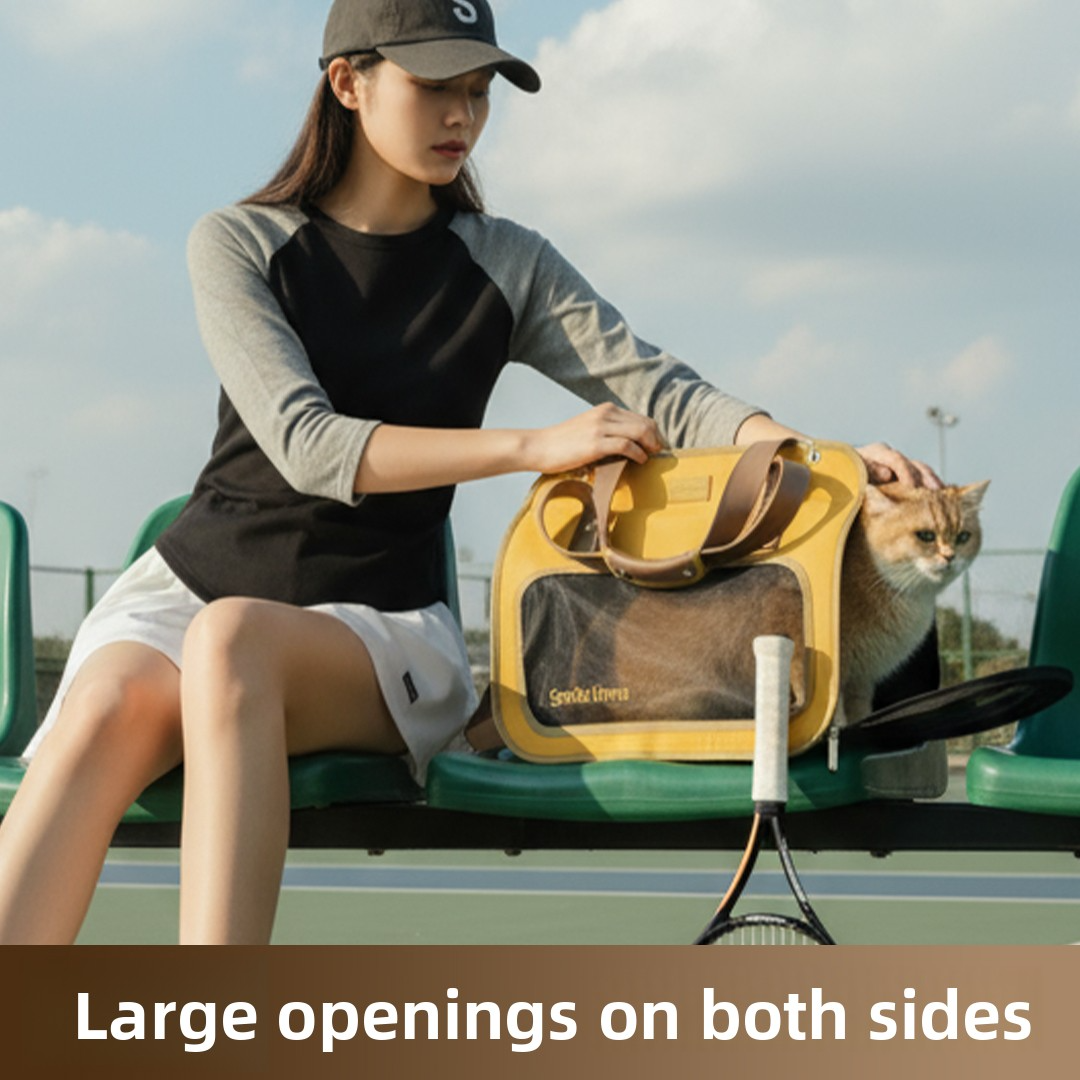 Moonlight Treasure Box Pet Carrier Wholesale Window Front Cat Backpack