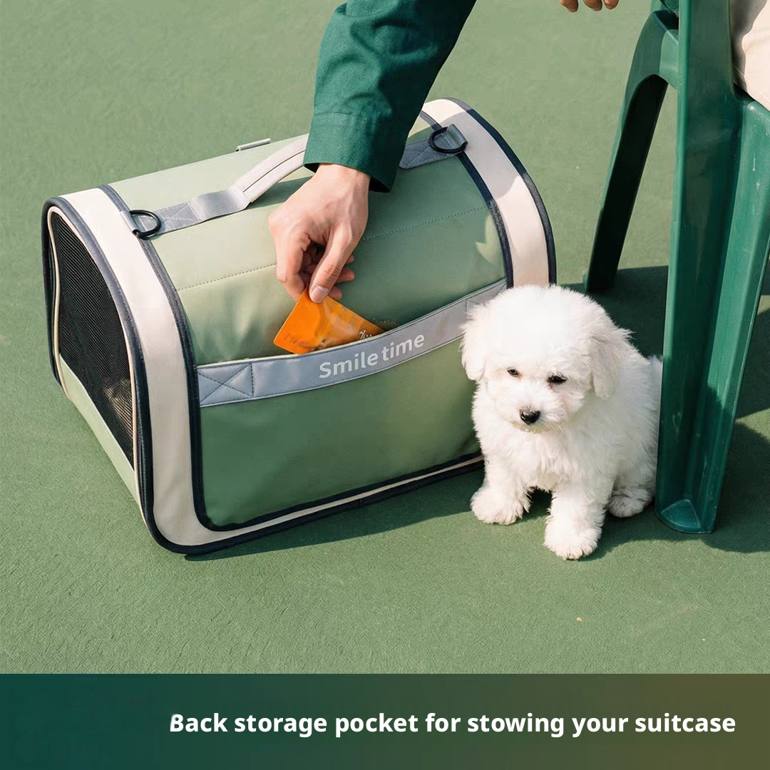 Rixianism Pet Carrier Wholesale Replaceable Inner Lining Cat Travel Bag