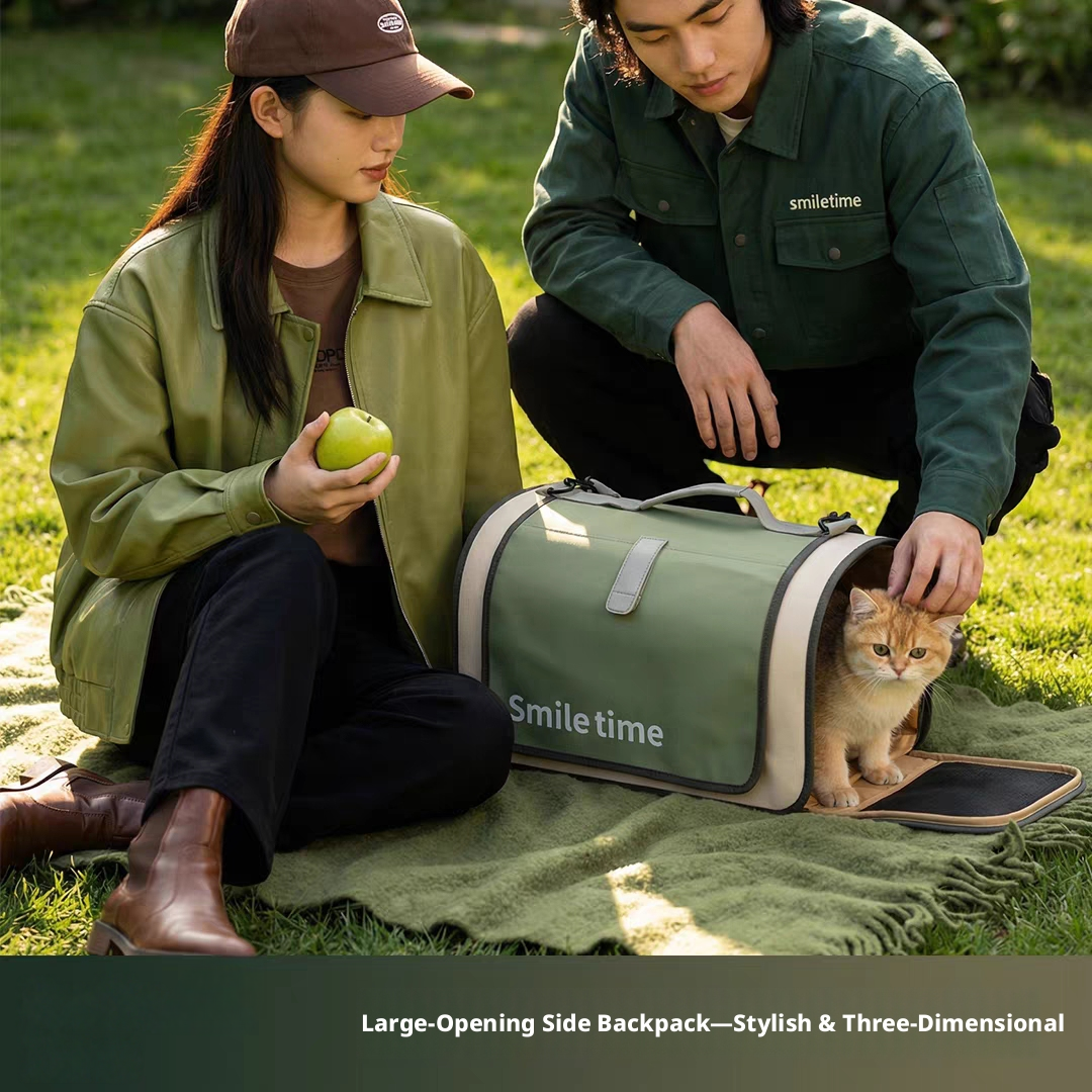 Wholesale Shape Stability Easier Cleaning Cat Carrier 