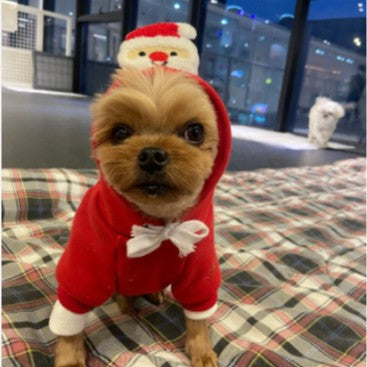 Cat Hoodie Autumn Winter Medium Dog Christmas Pet Supplies Clothing